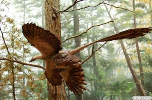 d02788e9b71917ad11714c