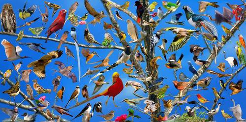 360截图20151112153407138