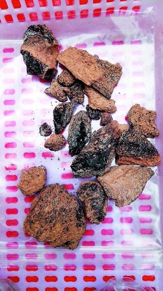 U560P4T8D7625470F107DT20151116132751 U560P4T8D7625470F107DT20151116132751