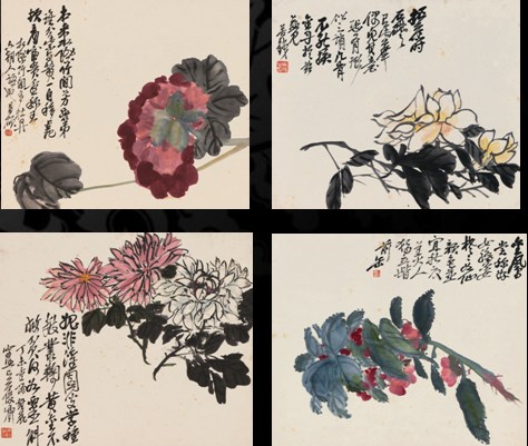 吴昌硕《致三多花卉册》（部分）