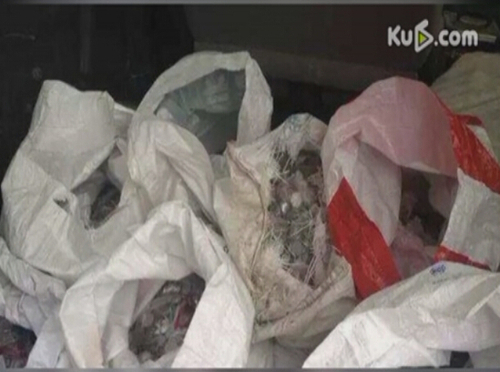 500斤母爱！单亲妈妈扛500斤硬币为女儿买房