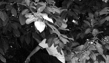 组图：学生受伤被冻死 网友:比当年翻墙掉茅坑还悲剧肠胃 