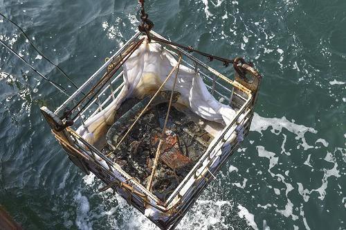 “丹东一号”沉船考古