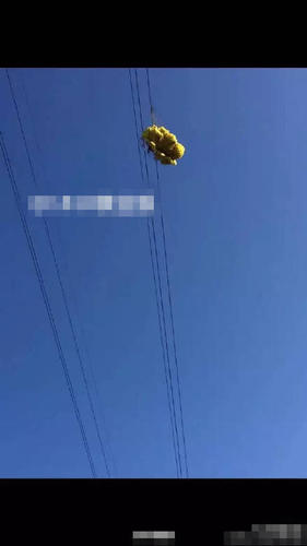 　　玩滑翔伞男子挂在高压线上。