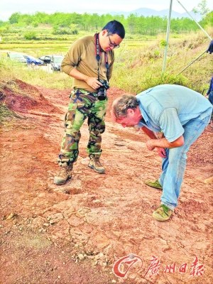 中国“最年轻”恐龙足印被发现研究恐龙灭绝意义大