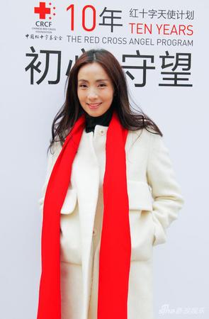 陶虹出席公益活动