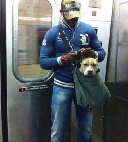 所以，以后这样可以坐火车吗？1