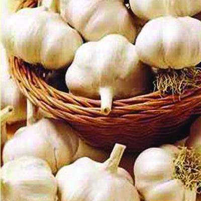 大蒜那抹让人爱恨交加的气味 到底是个什么鬼？