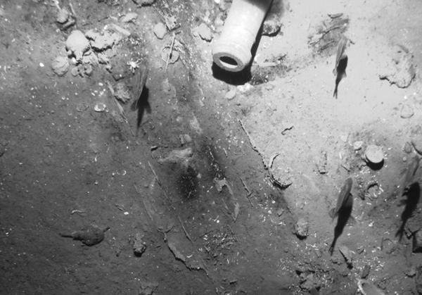 QQ图片20151207112255