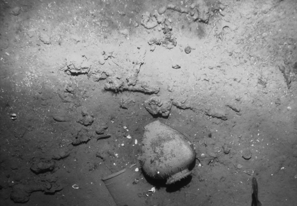 QQ图片20151207112241