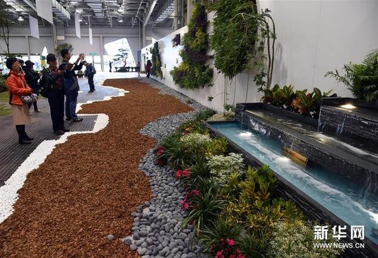 12月5日，观众在台北举行的2015园艺景观及绿屋顶设计大展上参观。