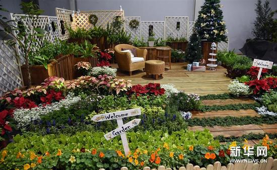 这是12月5日在台北2015园艺景观及绿屋顶设计大展上拍摄的作品“彩虹菜园中绿色圣诞节”。