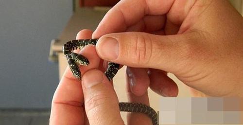 W020151210342350191641