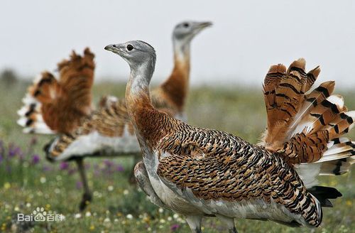 562c11dfa9ec8a13ed09f9ecf603918fa0ecc0af