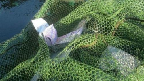 目前尚不清楚这批钞票的来源，若一年内找不到失主，全部现金都将归捡到它们的男孩所有。