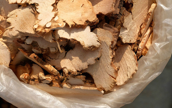 《芈月传》热播淡竹叶、土茯苓刷新认知