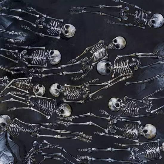 南非女艺术家笔下的黑暗森林