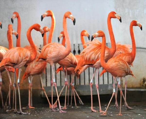 QQ图片20151218113133