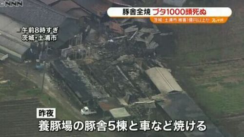 QQ图片20151223162533