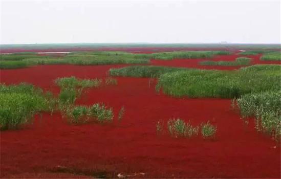 地球上真实存在的外星奇景
