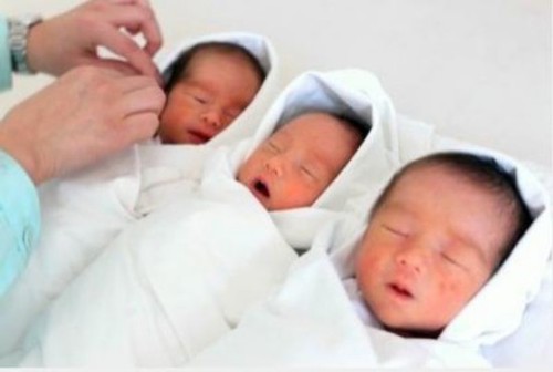 三胞胎三个爹，网络配图