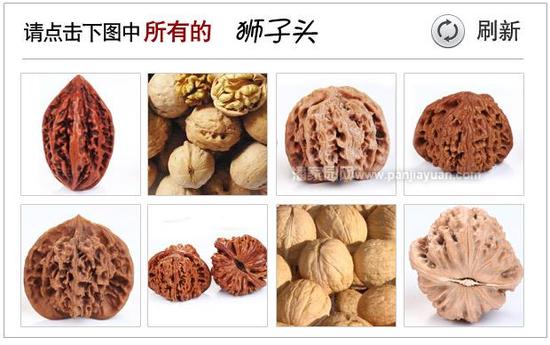 验证码错误，请看正确答案！