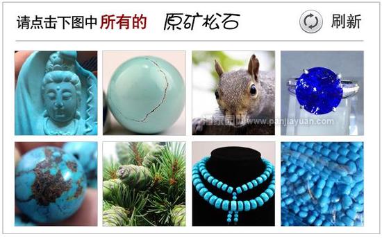 验证码错误，请看正确答案！