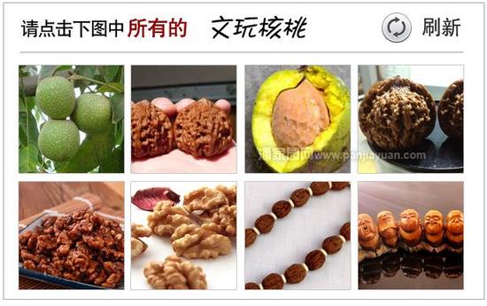 验证码错误，请看正确答案！