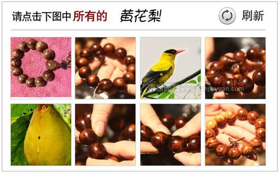 验证码错误，请看正确答案！