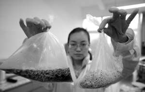 食品袋内的方便面加入可乐后产生大量气泡，袋子很快膨胀