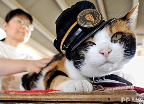 b_3ba2612403493948147 b_3ba2612403493948147