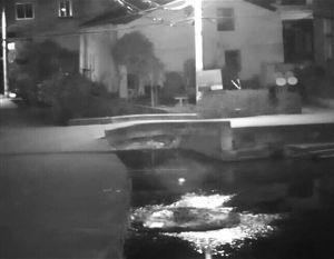 女子玩手机坠亡 监控记录下全过程河水较浅但淤泥很深