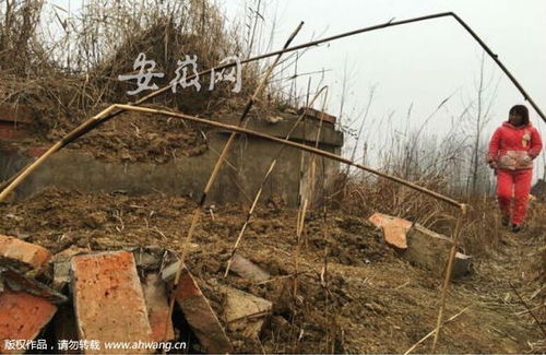 墓地有明显被挖动的痕迹。