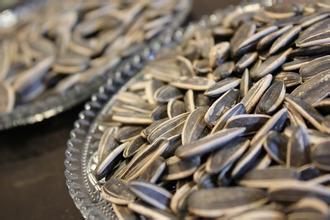 揭秘：中国人为何爱嗑瓜子？