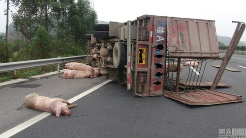 900x600_BCO468O200AP0001