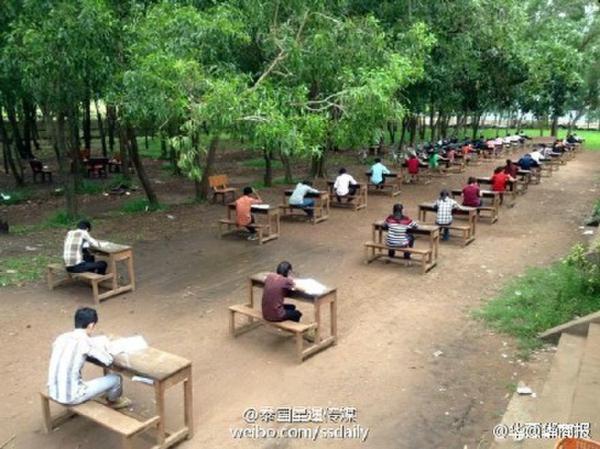 为防抄袭树林考试