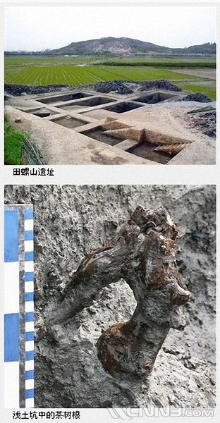 081938mvyww8r8qoe2oy8y