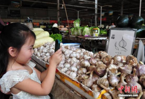 资料图：<a target='_blank' href='http://www.chinanews.com/'>中新社</a>发 翟羽佳 摄