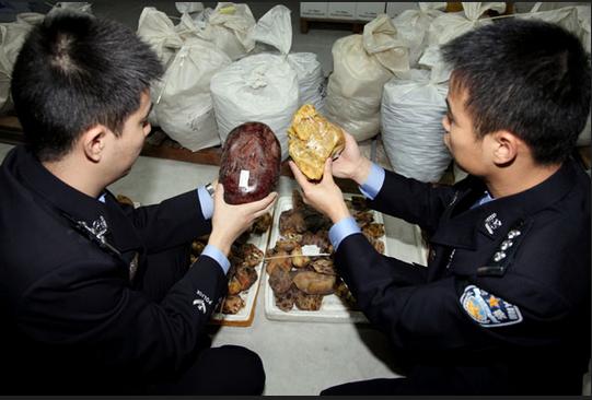 上海破获走私大案