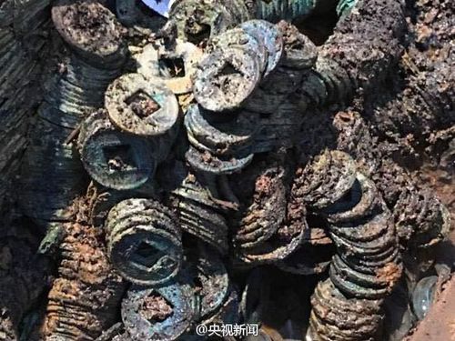 图为考古现场。