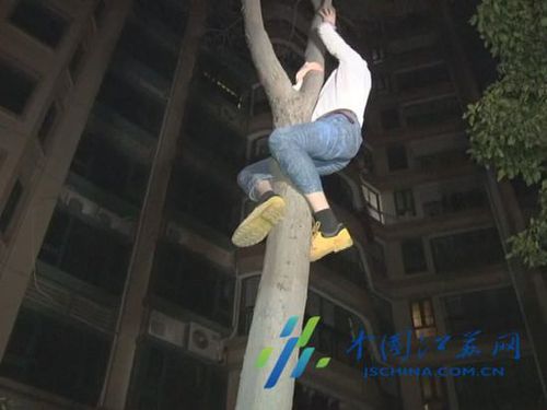 小伙爱猫如痴 从上海乘高铁来南京救助被困小猫