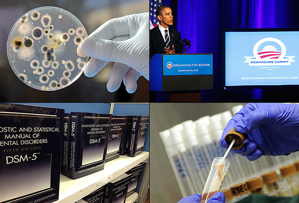 猴子换头手术成功4