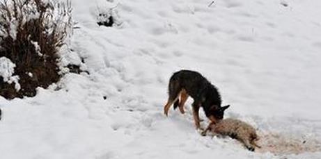 360截图20160122100738073