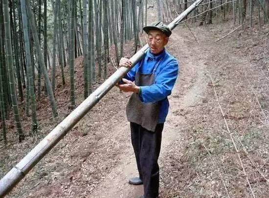 酷毙了！孙子给85岁爷爷拍了一组街拍照