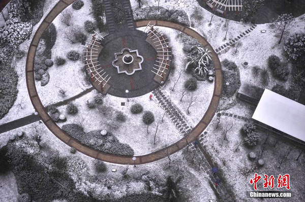 1月23日，重庆主城区迎来罕见大雪天气，一小区绿化带变成了白茫茫的雪地。图为一小区绿化地积起了白雪。 陈超 摄