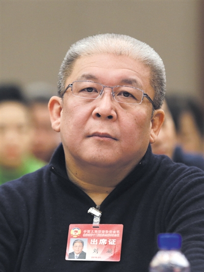 北京市政协委员刘凝。