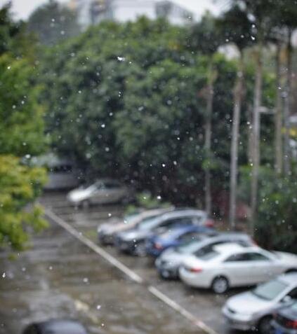 广州城区现雨夹雪2