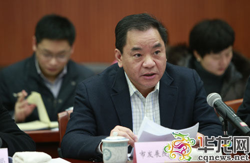 市发改委、市教委等协办单位相关负责人补充汇报办理情况。