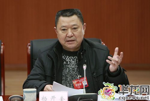 参会的市政协委员依次发言。