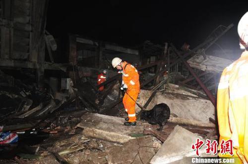 图为消防官兵利用搜救犬搜救被困人员。 李?；?摄